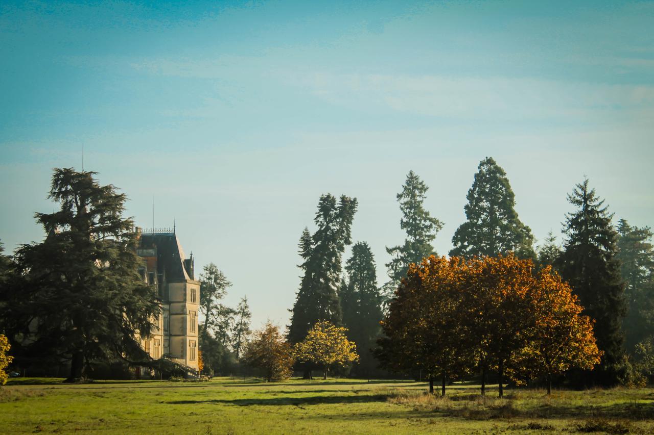 מלון Buzançais Chateau Le Boisrenault מראה חיצוני תמונה