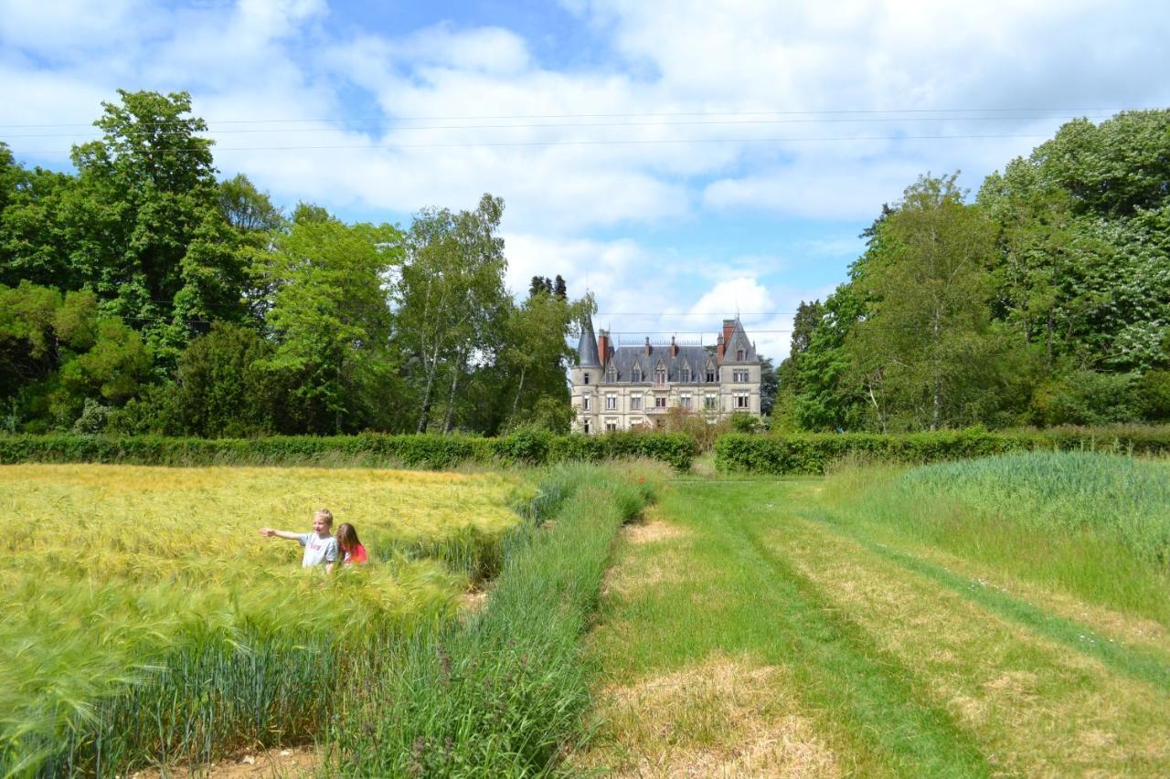 מלון Buzançais Chateau Le Boisrenault מראה חיצוני תמונה